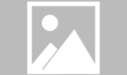 91是什么电视台直播的,精彩节目不容错过